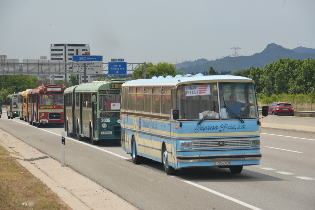 Setra Seida S154